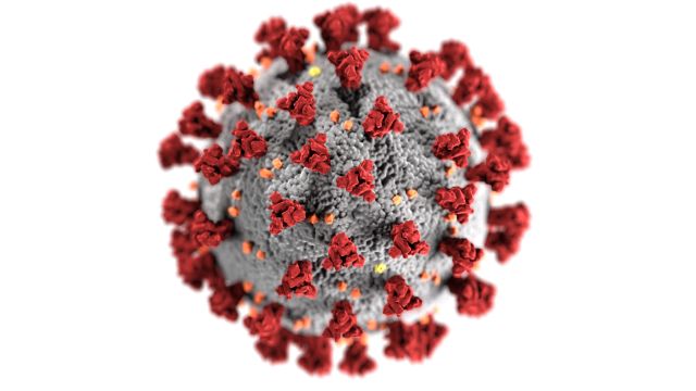 Trojrozměrný model coronaviru SARS-CoV-2 (autor: CDC/ Alissa Eckert, MS; Dan Higgins, MAM; volné dílo - https://commons.wikimedia.org) 