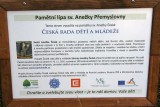 Informační tabulka u lipky v zahradě Anežského kláštera (foto Jiří Majer)