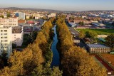 Alejí roku 2019 se stala památná alej u Rakovnického potoka